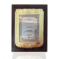 2016 ZTE Best Comprehensive Performance Award
