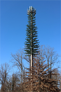 Cell tower disguised as a tree