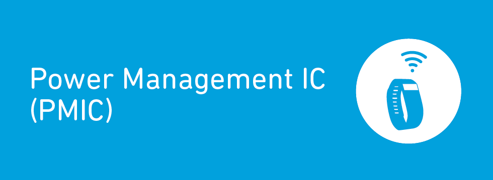 Power Management IC PMCI