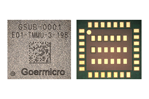 GSUB-0001