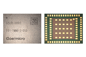 GSUB-0002