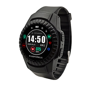 Bracelet With Screen