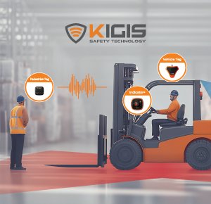 KIGIS IPAS