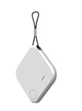 Leedarson america inc online
